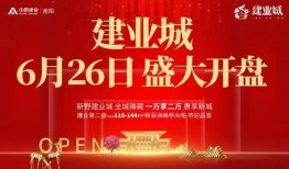 新野拉卡拉最新爆料,揭秘金融科技巨头的新动向