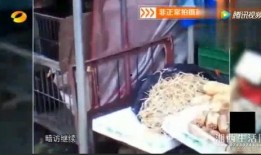 湖南卫星最新爆料,揭秘神秘太空现象背后的真相