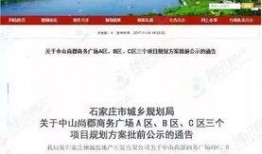 石家庄无极爆料最新消息,石家庄事件进展及细节披露