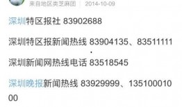 最新新闻八卦爆料电话,最新八卦爆料电话背后的惊人内幕