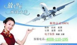 飞机最新爆料电话号码,神秘电话号码背后的科技革命