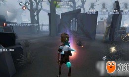 第五人格最新爆料售价,神秘售价揭晓，玩家热议不已！