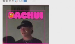 刘大锤最新爆料金庸视频,金庸视频背后的惊人内幕